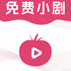 火豆影院无限制vip版