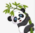 九狐直播APP应用